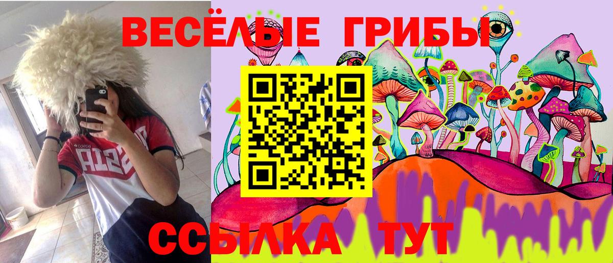 Великий Устюг  Псилоцибиновые грибы GOLDEN TEACHER  где можно купить   Вход с VPN 